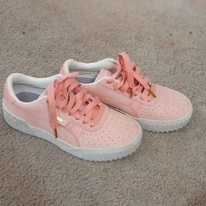 Puma  beautiful color